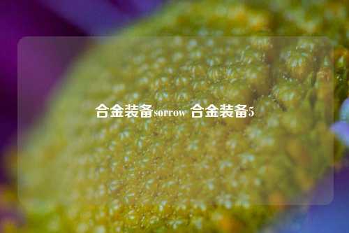 合金装备sorrow 合金装备5