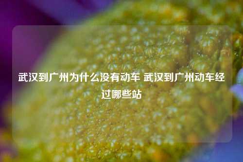 武汉到广州为什么没有动车 武汉到广州动车经过哪些站