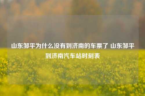 山东邹平为什么没有到济南的车票了 山东邹平到济南汽车站时刻表