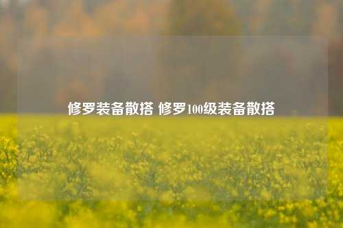 修罗装备散搭 修罗100级装备散搭