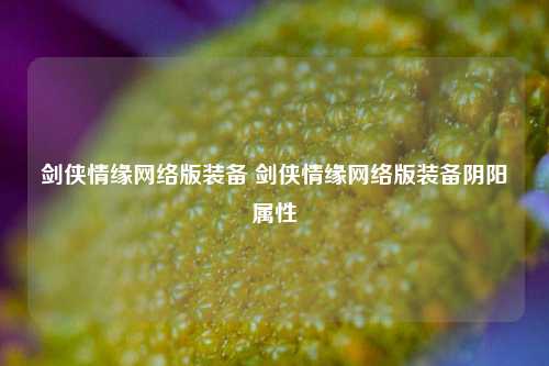 剑侠情缘网络版装备 剑侠情缘网络版装备阴阳属性