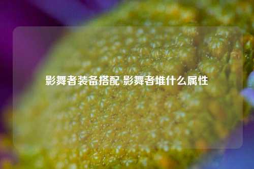 影舞者装备搭配 影舞者堆什么属性