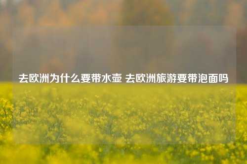 去欧洲为什么要带水壶 去欧洲旅游要带泡面吗