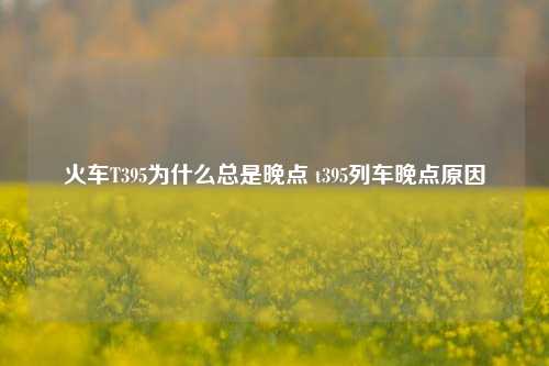 火车T395为什么总是晚点 t395列车晚点原因