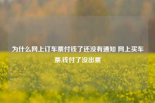 为什么网上订车票付钱了还没有通知 网上买车票,钱付了没出票