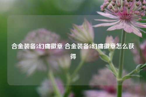 合金装备5幻痛徽章 合金装备5幻痛徽章怎么获得