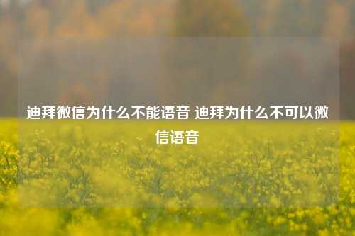 迪拜微信为什么不能语音 迪拜为什么不可以微信语音