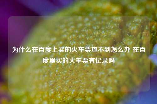 为什么在百度上买的火车票查不到怎么办 在百度里买的火车票有记录吗