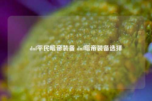 dnf平民暗帝装备 dnf暗帝装备选择