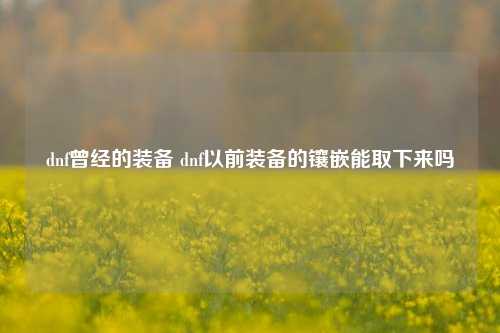 dnf曾经的装备 dnf以前装备的镶嵌能取下来吗