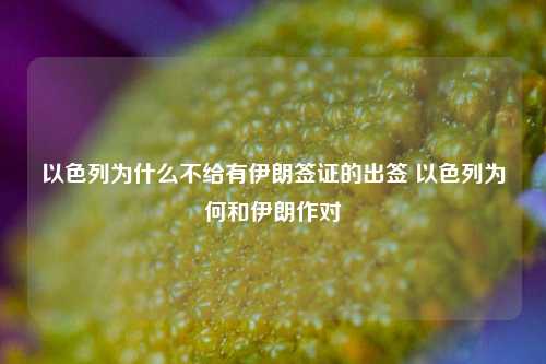 以色列为什么不给有伊朗签证的出签 以色列为何和伊朗作对