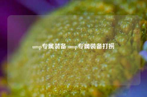 ump专属装备 ump专属装备打捞