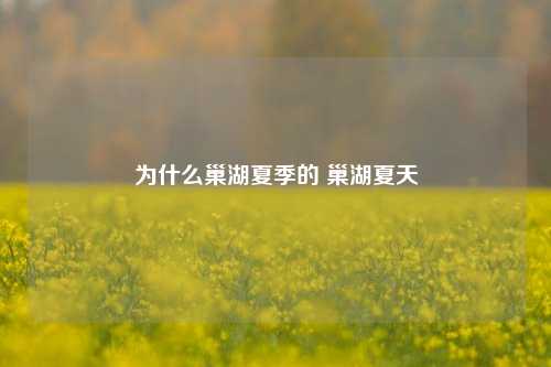 为什么巢湖夏季的 巢湖夏天