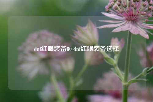 dnf红眼装备80 dnf红眼装备选择