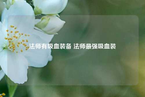 法师有吸血装备 法师最强吸血装