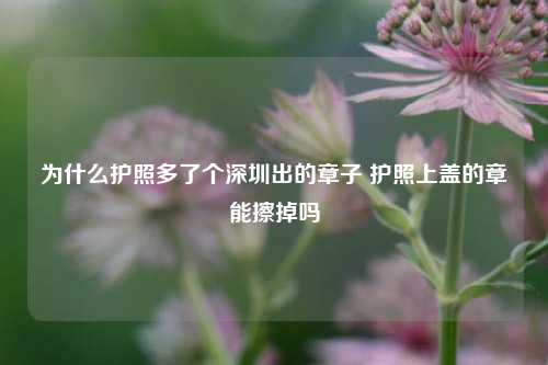 为什么护照多了个深圳出的章子 护照上盖的章能擦掉吗