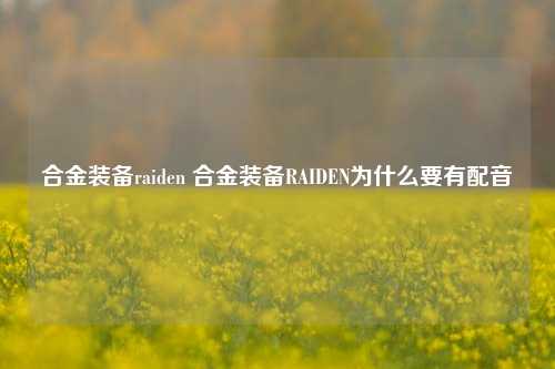 合金装备raiden 合金装备RAIDEN为什么要有配音