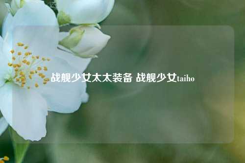 战舰少女太太装备 战舰少女taiho