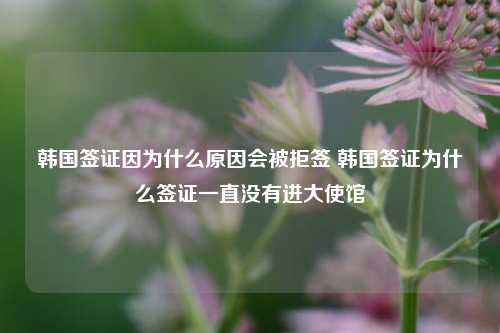 韩国签证因为什么原因会被拒签 韩国签证为什么签证一直没有进大使馆