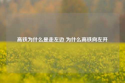 高铁为什么是走左边 为什么高铁向左开