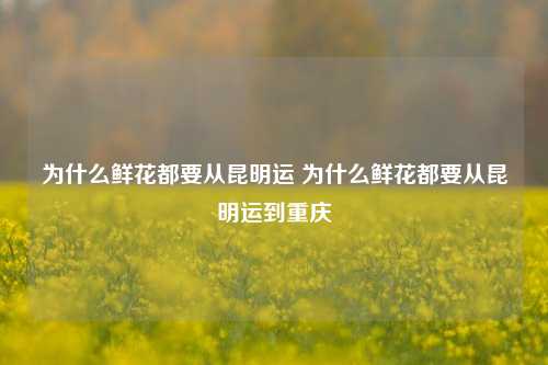 为什么鲜花都要从昆明运 为什么鲜花都要从昆明运到重庆