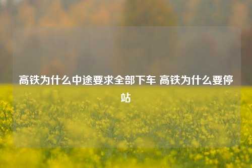 高铁为什么中途要求全部下车 高铁为什么要停站