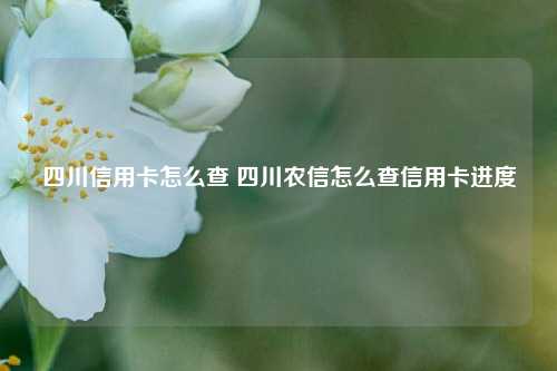 四川信用卡怎么查 四川农信怎么查信用卡进度