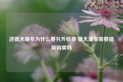 进德天瀑布为什么要另外收费 德天瀑布需要提前购票吗