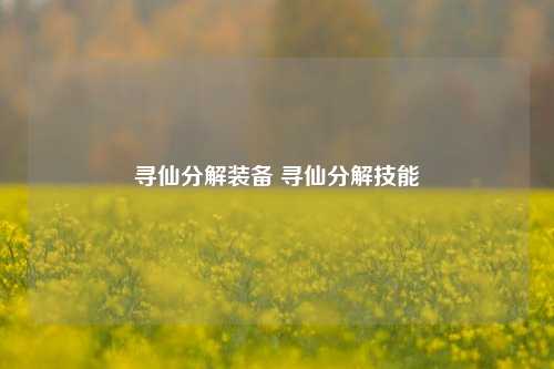 寻仙分解装备 寻仙分解技能