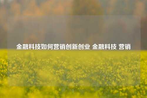 金融科技如何营销创新创业 金融科技 营销