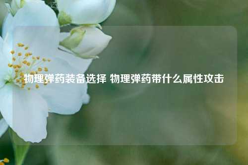 物理弹药装备选择 物理弹药带什么属性攻击