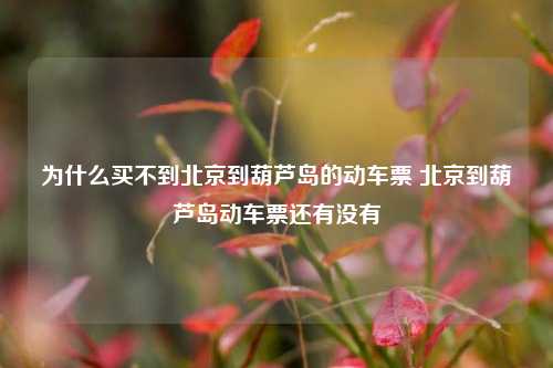 为什么买不到北京到葫芦岛的动车票 北京到葫芦岛动车票还有没有