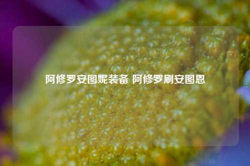 阿修罗安图妮装备 阿修罗刷安图恩