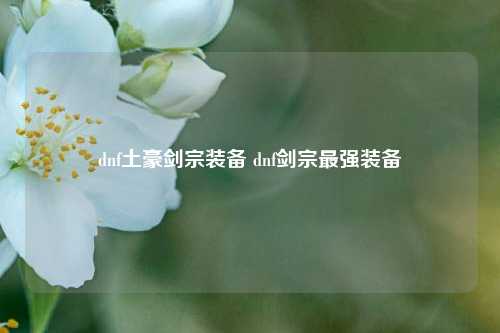 dnf土豪剑宗装备 dnf剑宗最强装备