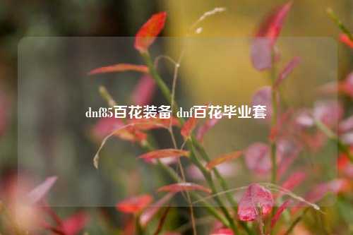 dnf85百花装备 dnf百花毕业套